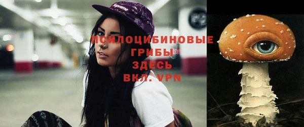 дмт Волоколамск
